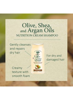 LE PETIT OLIVIER Le Petit Olivier Nutrition Cream Shampoo - Olive, Shea, Argan Oils - Repairs Dry, Damaged Hair - Enriched With Natural Origin Ingredients - Free Of Silicone - 8.45 oz  - Image 4