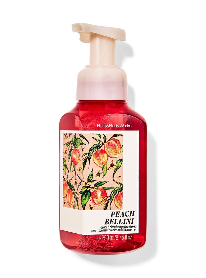 Bath & Body Works Peach Bellini Gentle & Clean Foaming Hand Soap