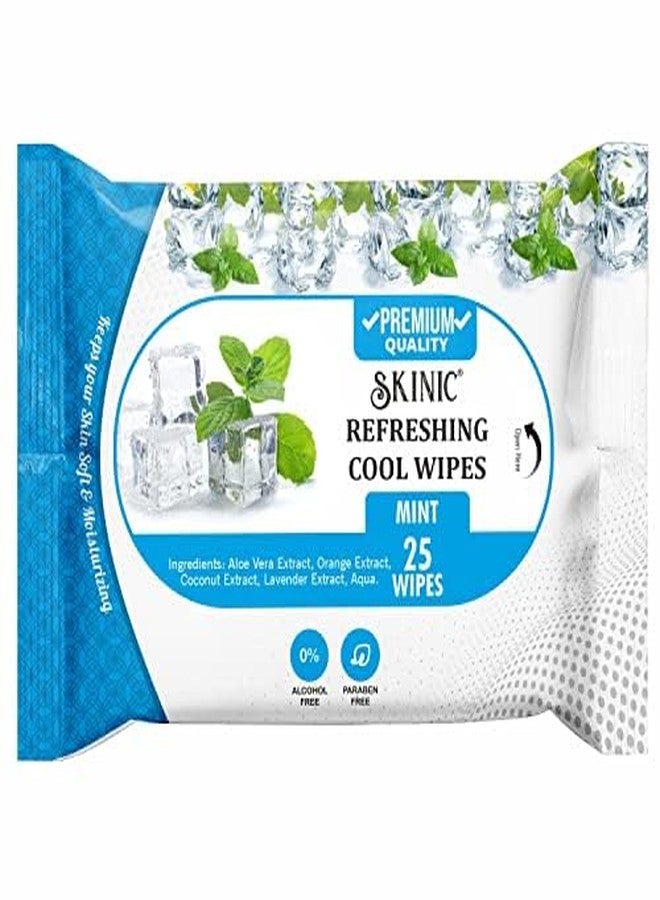 SKINIC مناديل سكينيك المنعشة والباردة، بنكهة النعناع، خالية من الكحول، عبوة من قطعتين، 25 منديلًا في كل عبوة - Image 3