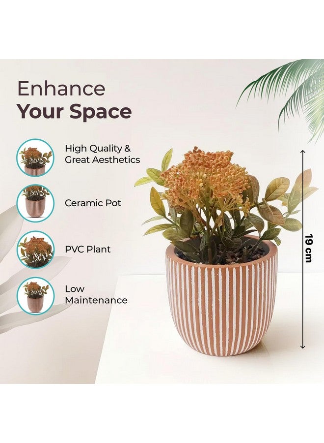 The Better Home Artificial Plants for Home Decor with Pot | 19 CM Long | Peach Dahlia | Aesthetic Room Decor Items for Living Room, Bedroom | Fake Plants for Office, Reception, Tabletop, Shelves - Image 3