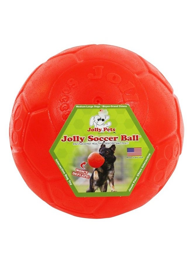 Jolly Pets Jolly Soccer Ball Dog Toy 8in 788169720891 - Image 1