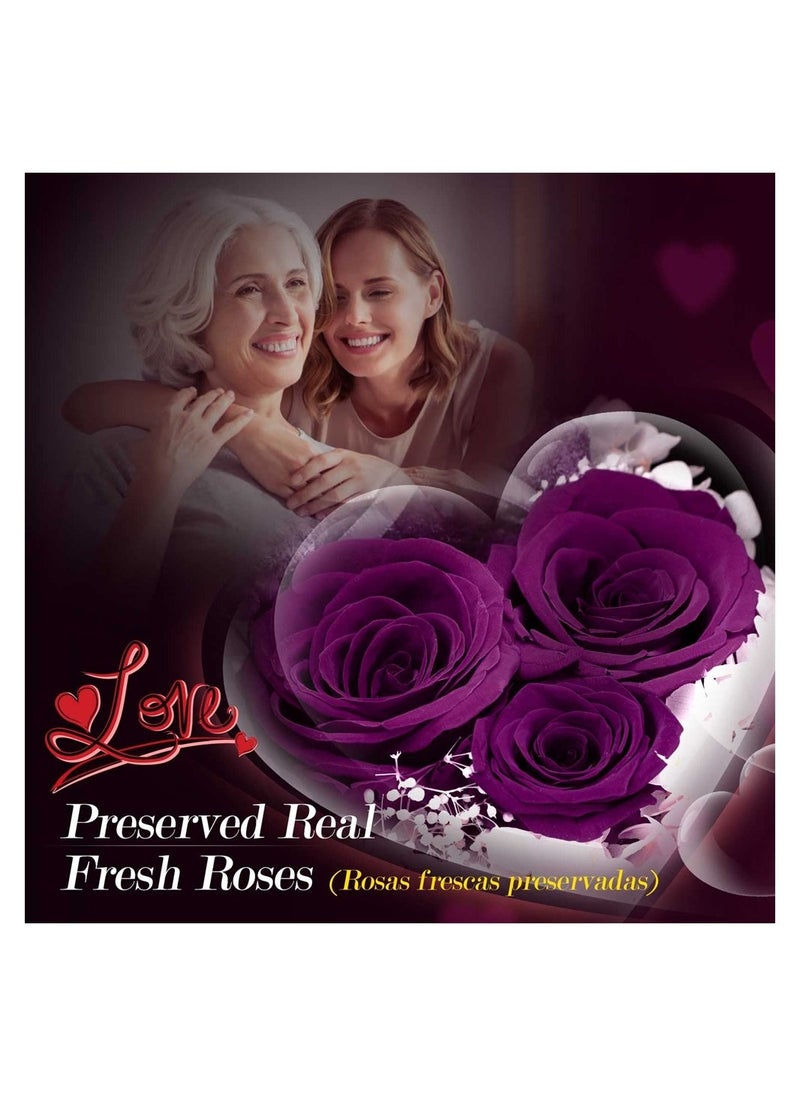 Generic Preserved Purple Rose Moss Bear Gifts Set with I Love You 100 Languages Necklace for Women Mom Wife Girlfriend  - Image 3