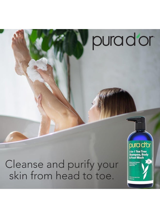 بيورا دور، شامبو شجرة الشاي 3 في 1، غسول للجسم والقدمين، لجميع أنواع الشعر، 16 أونصة سائلة (473 مل) - Image 4