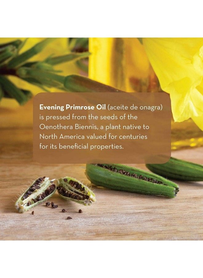PURE BODY NATURALS - Evening Primrose Oil Liquid Not Capsules For Face Skin And Hair 4 Fl Oz - Image 1