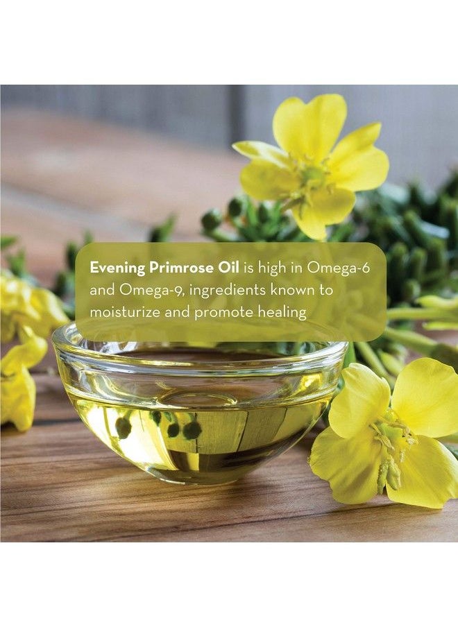 PURE BODY NATURALS - Evening Primrose Oil Liquid Not Capsules For Face Skin And Hair 4 Fl Oz - Image 1
