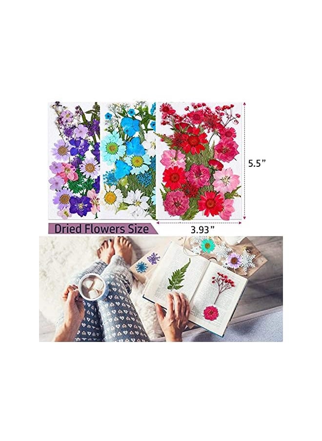 erorex Dried Pressed Flowers for Resin, 100Pcs Real Pressed Flowers Dry Leaves Bulk Natural Herbs Kit for Scrapbooking DIY Art Crafts, Epoxy Resin Jewelry Molds, Candle, Soap Making, Nails Décor  - Image 2