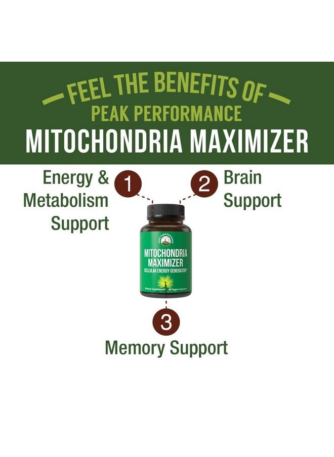 Peak Performance Mitochondria Maximizer with CoQ10 and Active PQQ. Best Mitochondrial Support Supplement with MCT Oil. Natural Cellular Generator for Clean, Focused Energy 60 Vegetarian Capsules  - Image 2