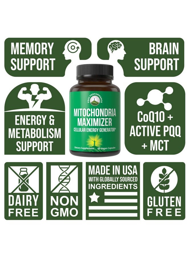 Peak Performance Mitochondria Maximizer with CoQ10 and Active PQQ. Best Mitochondrial Support Supplement with MCT Oil. Natural Cellular Generator for Clean, Focused Energy 60 Vegetarian Capsules  - Image 3