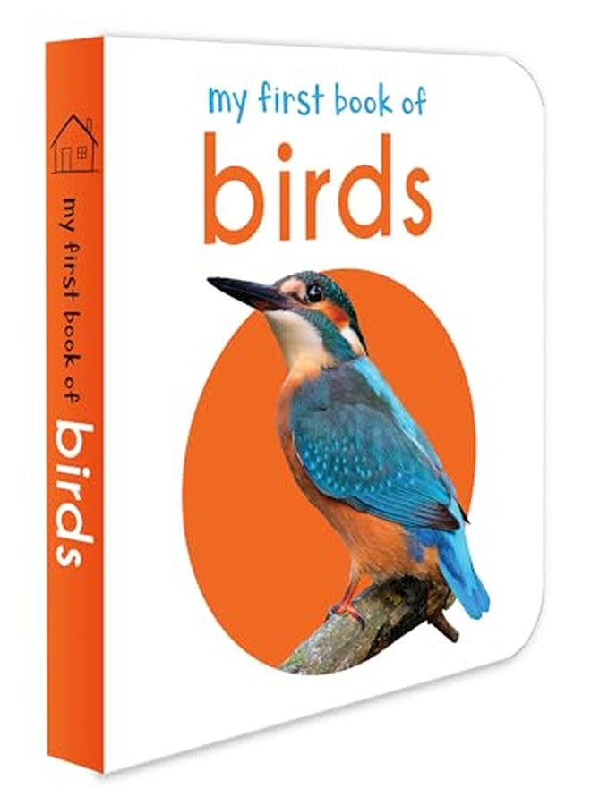 كتابي الأول عن الطيور - أول كتاب لوحي