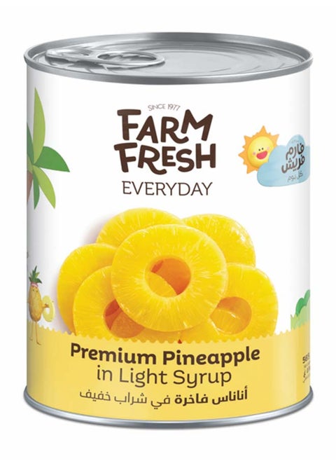 Pineapple Slices In Light Syrup 565g