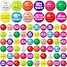 Oleitodh 60 Pieces Motivational Stress Balls 25 Inch Inspirational Stress Relief Ball Bulk Hand Exercise Balls Encouraging Colorful Foam Balls Anxiety Small Balls with Quotes for Kids Adults Teens 12 Styles - Image 2