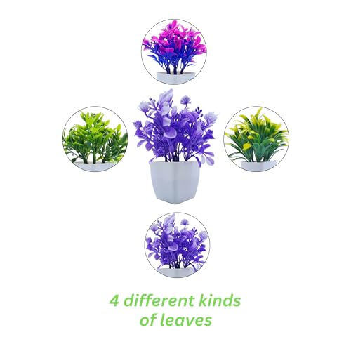 Flora Planet® Set of 4 Mini Multicolour Plants with Pots - Small Greenery Decor for Indoor Spaces Like Home, Farmhouse, Bedroom, Office Desk, Bathroom, and Shelf Aesthetics - Image 4
