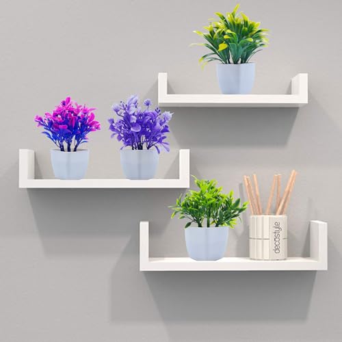 Flora Planet® Set of 4 Mini Multicolour Plants with Pots - Small Greenery Decor for Indoor Spaces Like Home, Farmhouse, Bedroom, Office Desk, Bathroom, and Shelf Aesthetics - Image 2