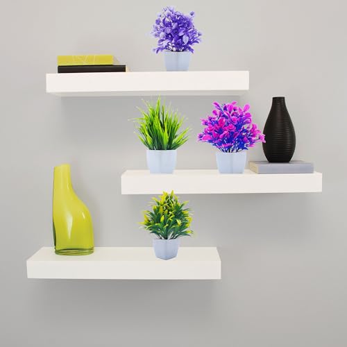 Flora Planet® Set of 4 Mini Multicolour Plants with Pots - Small Greenery Decor for Indoor Spaces Like Home, Farmhouse, Bedroom, Office Desk, Bathroom, and Shelf Aesthetics - Image 3