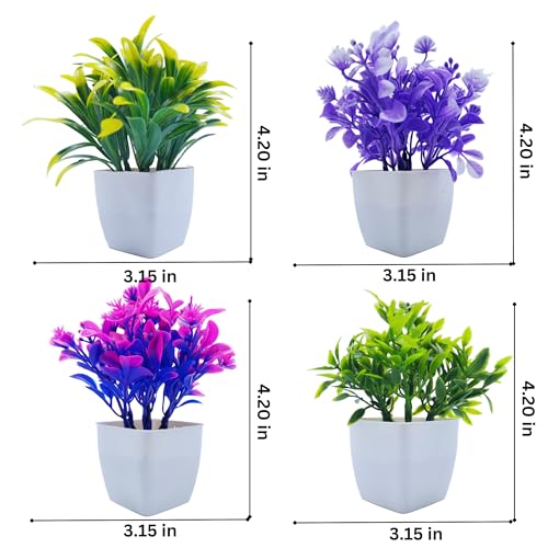 Flora Planet® Set of 4 Mini Multicolour Plants with Pots - Small Greenery Decor for Indoor Spaces Like Home, Farmhouse, Bedroom, Office Desk, Bathroom, and Shelf Aesthetics - Image 5