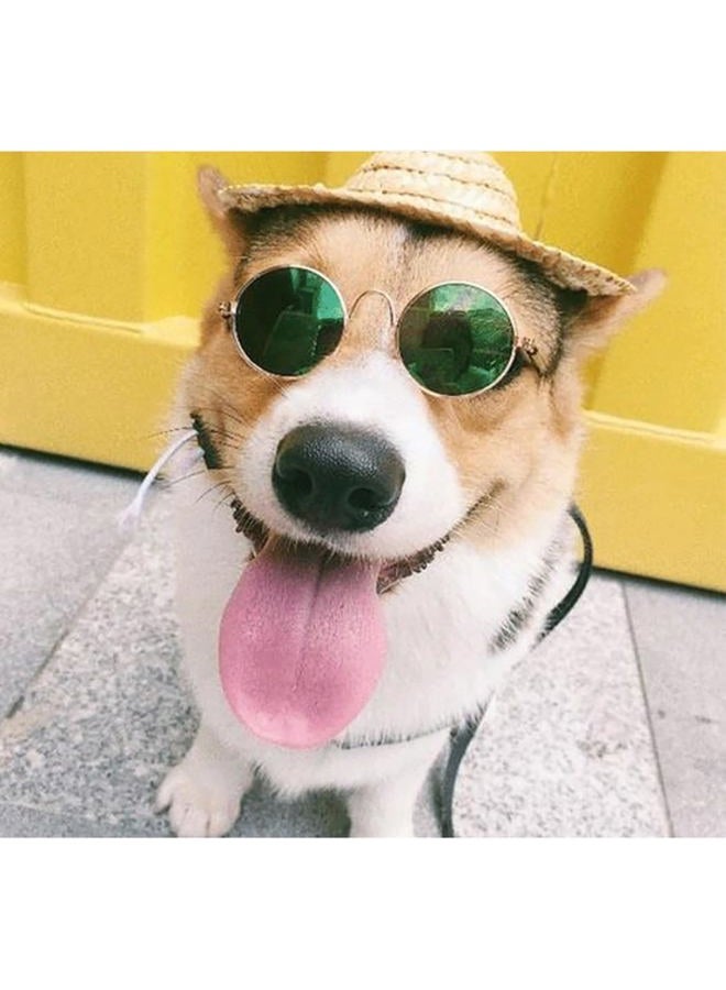 Yosbabe 4 Pieces Pets Dog Cat Bowtie Pet Costume Adjustable Formal Necktie Collar for Cats Small Dogs Puppy Grooming Accessories (Black/red + Glasses) - Image 5