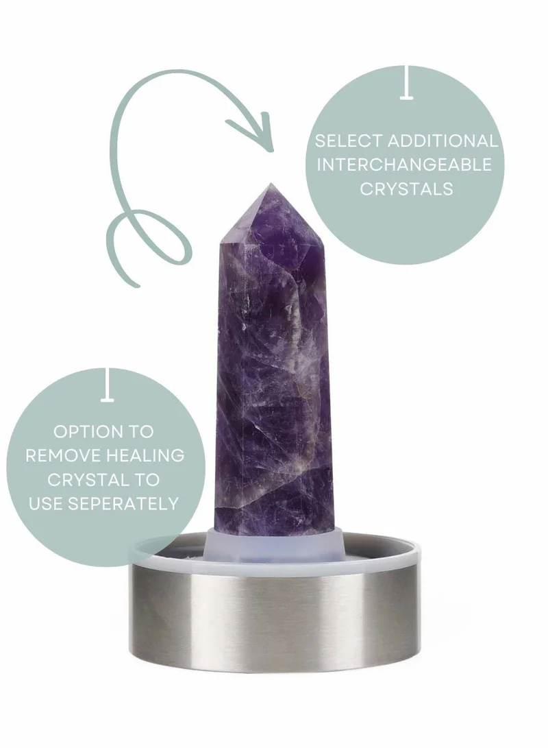 Prickly Pear Amethyst Interchangeable Crystal Water Bottle