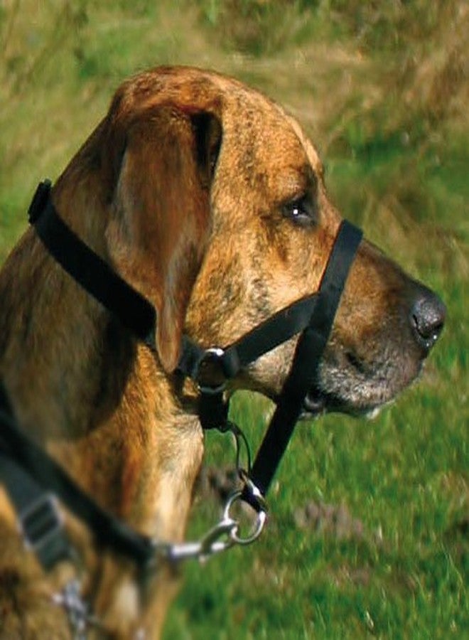 Trixie XL : Trixie Top Trainer Training Harness - Image 3