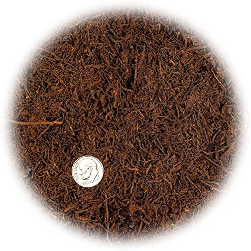 Gardenera Premium New Zealand Tree Fern by GARDENERA - Orchid and Epiphytal Plants Growing Medium and Reptile Substrate - 2 Quart Bag - Image 3