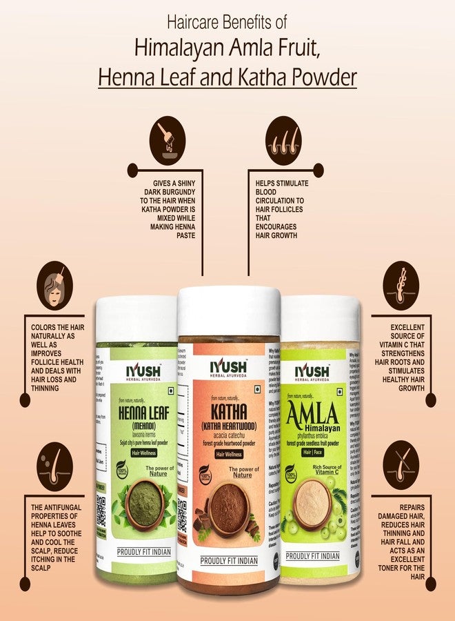 IYUSH Herbal Ayurveda Amla Powder with Katha Powder and Henna Powder for Hair Colour - 750gm | Natural Hair Colour | Hair Mask for Dry and Frizzy Hair | Hair Volume Powder | Hair Powder | 250gm each - Image 2