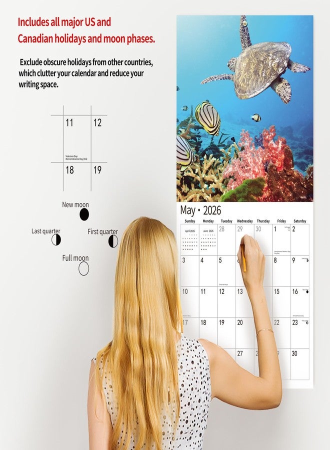 windrio 2026 Wall Calendar,Calendar 2026, November 2025 - December 2026, Wall Calendar Sea Turtles, 12" x 24" Opened,Full Page Months Thick & Sturdy Paper for Gift Perfect Calendar Organizing & Planning - Image 5