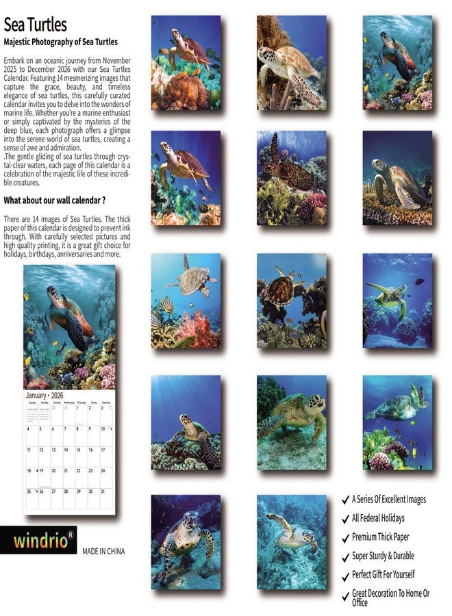 windrio 2026 Wall Calendar,Calendar 2026, November 2025 - December 2026, Wall Calendar Sea Turtles, 12" x 24" Opened,Full Page Months Thick & Sturdy Paper for Gift Perfect Calendar Organizing & Planning - Image 2