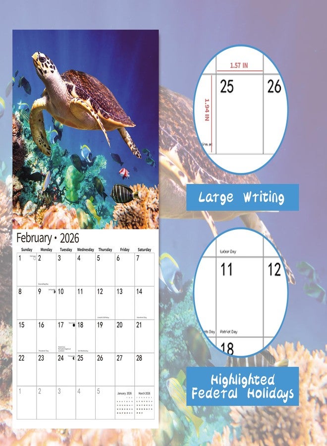 windrio 2026 Wall Calendar,Calendar 2026, November 2025 - December 2026, Wall Calendar Sea Turtles, 12" x 24" Opened,Full Page Months Thick & Sturdy Paper for Gift Perfect Calendar Organizing & Planning - Image 3