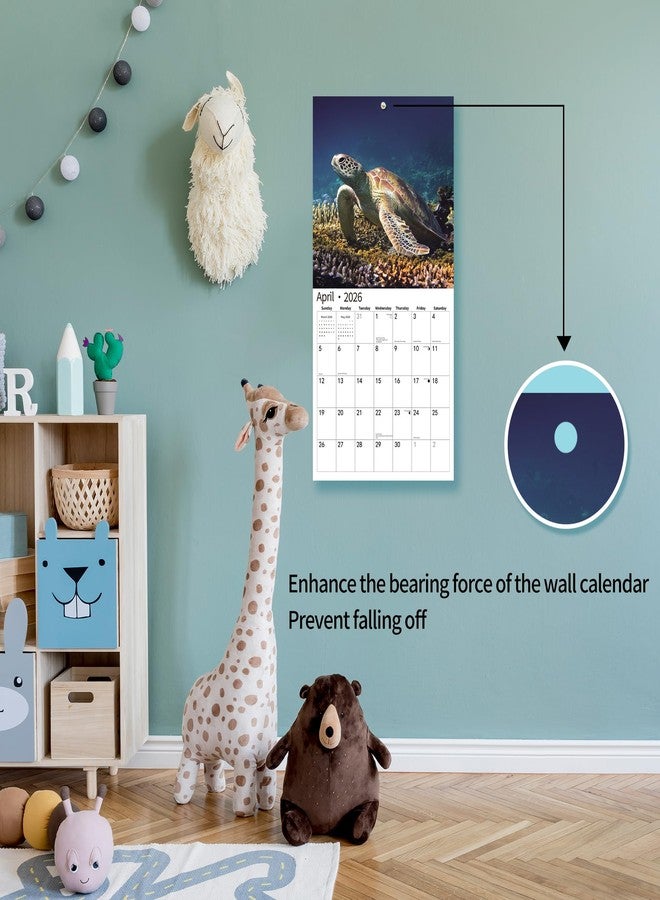 windrio 2026 Wall Calendar,Calendar 2026, November 2025 - December 2026, Wall Calendar Sea Turtles, 12" x 24" Opened,Full Page Months Thick & Sturdy Paper for Gift Perfect Calendar Organizing & Planning - Image 4