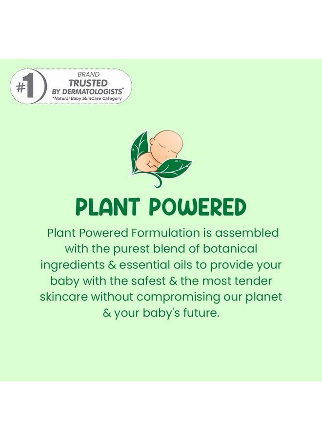 Mother Sparsh Plant Powered Talc Free Dusting Powder For Babies ; With Corn Starch & Oat Powder 100 G (Pack Of 3) - Image 3