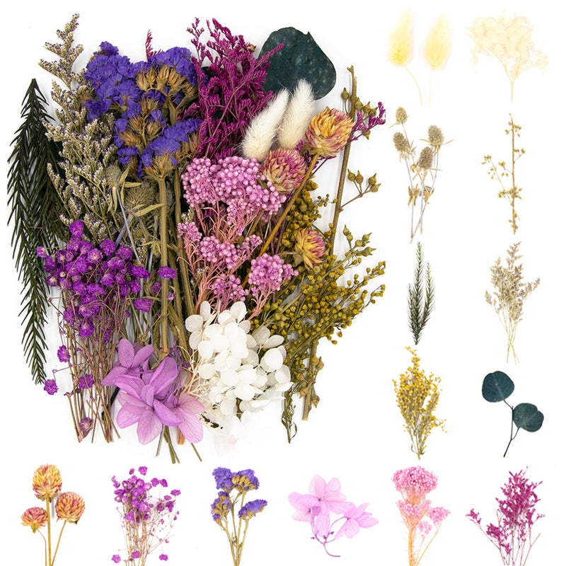 Vignee Vignee Real Dried Pressed Leaf FlowersMultiple Colorful Pressed Flowers Daisies for Craft Resin Jewelry Making Art Craft DIYViolet 