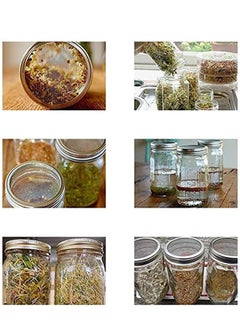 KASTWAVE 2 PCS Sprouting Jar Lid with 2 PCS Sprouting Stands in Stainless Steel Germinator Set to Grow Your Own Sprouts Bean Salad (White)  - Image 5