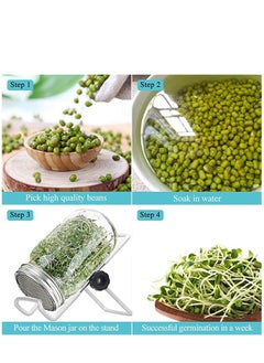 KASTWAVE 2 PCS Sprouting Jar Lid with 2 PCS Sprouting Stands in Stainless Steel Germinator Set to Grow Your Own Sprouts Bean Salad (White)  - Image 4