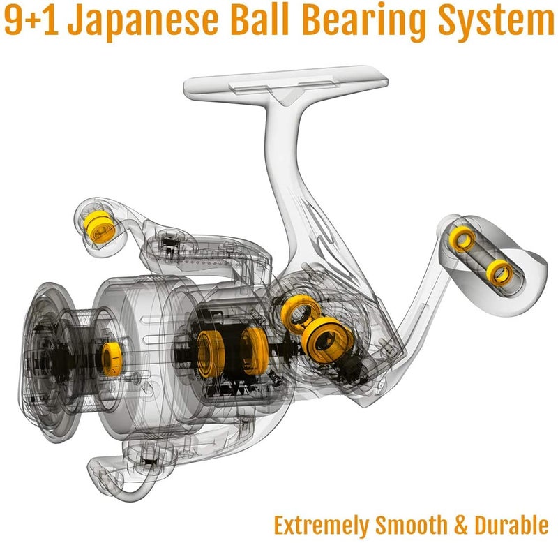 Cadence Lux Spinning Fishing Reels - Ultra Smooth Powerful Spinning Reel with 9+1 Shielded BB, Carbon Fiber Frame, 36LBs Max Drag, 5.2:1-6.2:1 High Speed Gear Ratio & Braid-Ready Spool (1000) - Image 3