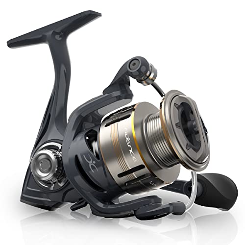 Cadence Lux Spinning Fishing Reels - Ultra Smooth Powerful Spinning Reel with 9+1 Shielded BB, Carbon Fiber Frame, 36LBs Max Drag, 5.2:1-6.2:1 High Speed Gear Ratio & Braid-Ready Spool (1000) - Image 1
