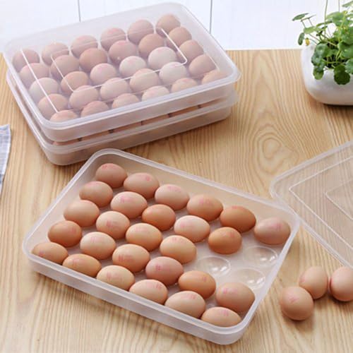Styleys Plastic Egg Tray for Fridge 30 Eggs, Egg Box Transparent (S2172), rectangular - Image 1