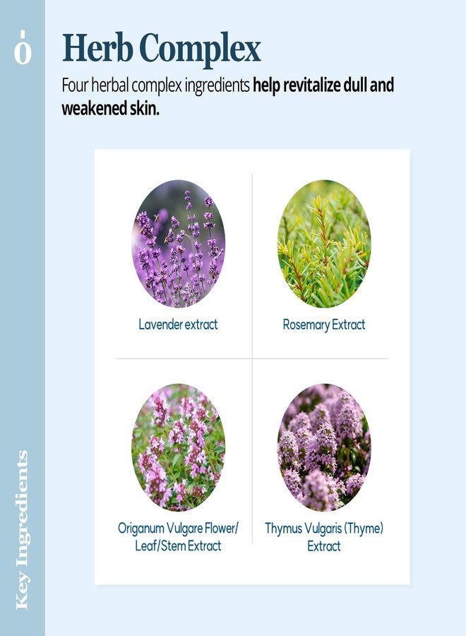 ONGREDIENTS Revitalizing Toner Pads | Dual-Textured Pad Sheets | Niacinamide, Panthenol, Butterfly Pea Extract, For Toning and Gentle Exfoliation, All Skin Types | Vegan, Korean Skin Care (60 Pads) - Image 3