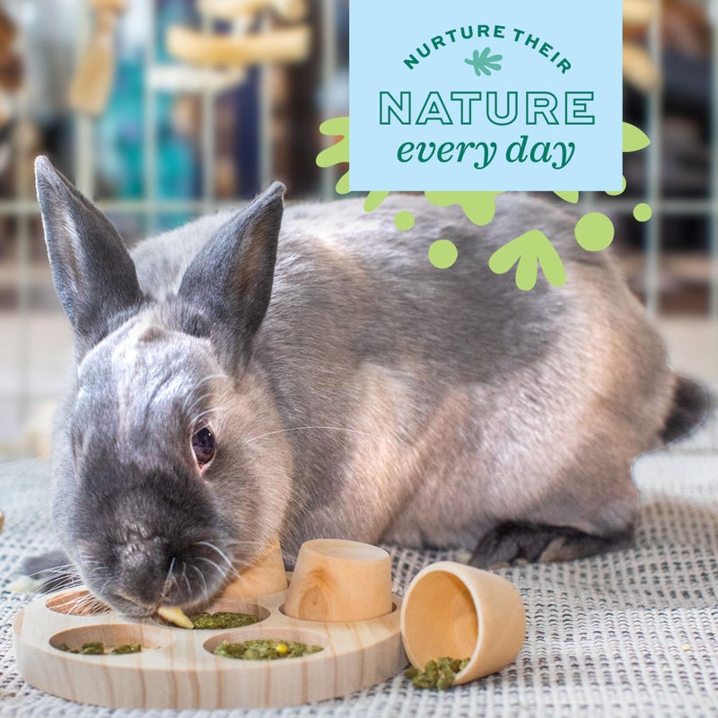 Oxbow Enriched Life Hay Forager - Image 5