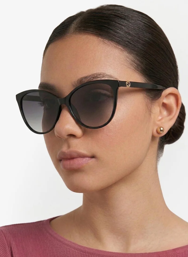 GUESS  wayfarers sunglasses for Women | Best Price UAE