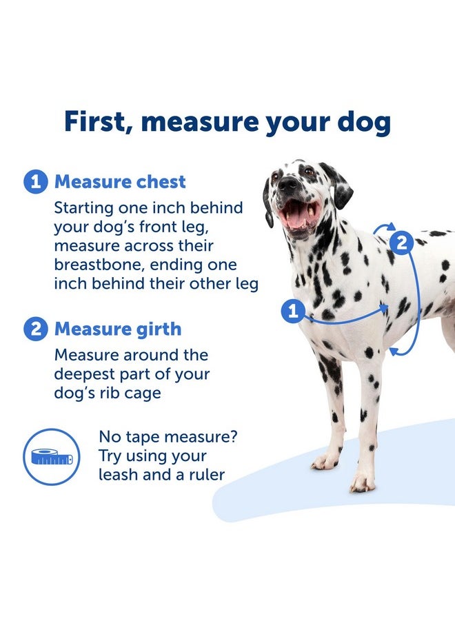 PetSafe - PetSafe Easy Walk No-Pull Dog Harness - The Ultimate Harness to Help Stop Pulling - Take Control & Teach Better Leash Manners - Helps Prevent Pets Pulling on Walks, Large, Fawn/Brown - Image 1