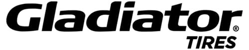 Gladiator جلادياتور QR600-SV 185/60R15C 94/92T - Image 4