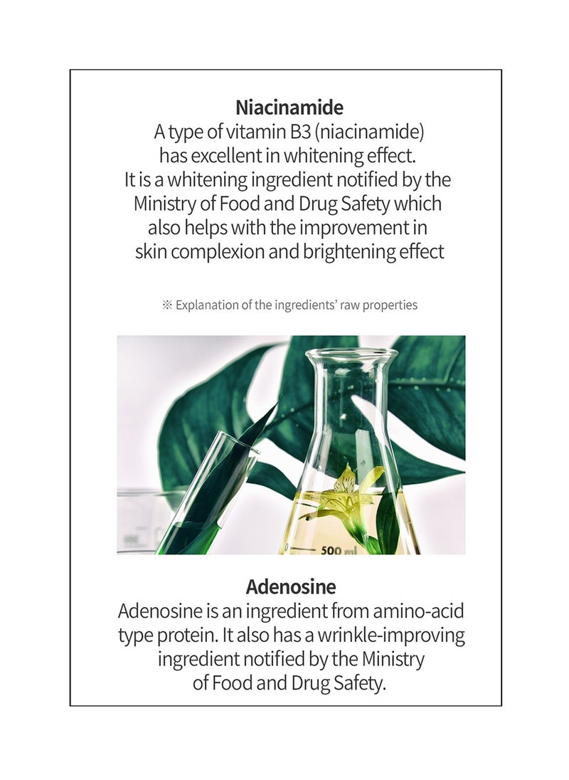 Troxederm - Repair Essence Face Mist - Fineline Care, Powered Soothing Mist for Skin Redness, Enriched with Niacinamide, Troxerutin and Centella Asiatica for All Skin Types 100 ML - Image 1
