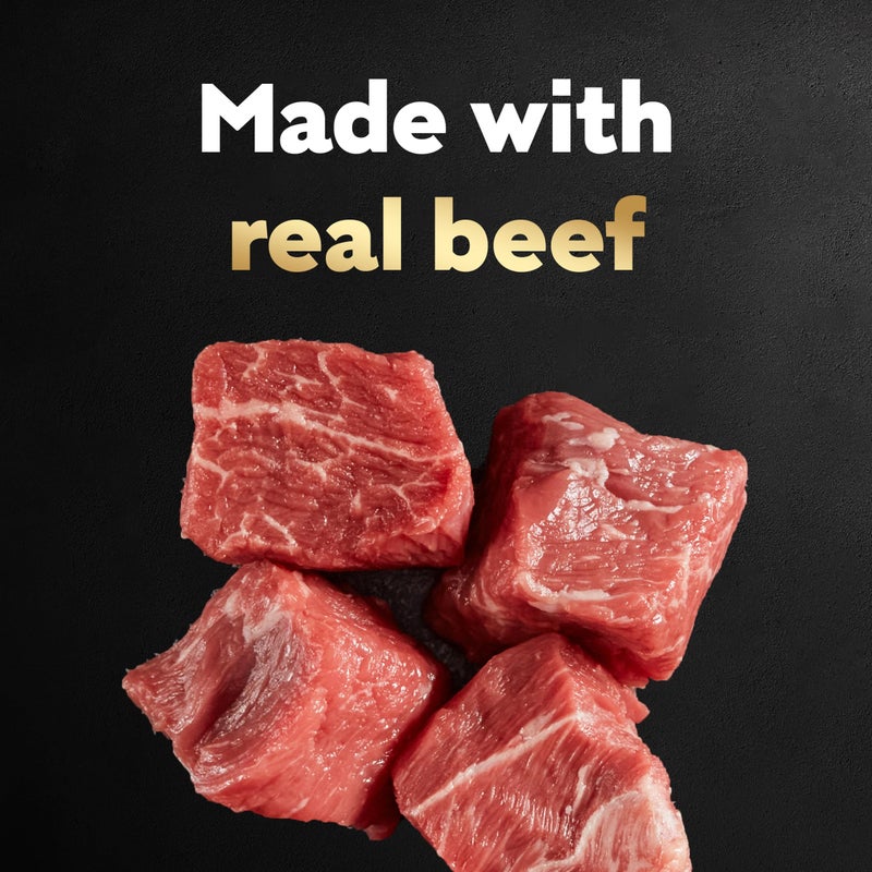 Cesar Filets in Gravy Adult Wet Dog Food, Filet Mignon and New York Strip Flavors Variety Pack, 3.5 oz. (12 Count, Pack of 1) - Image 3