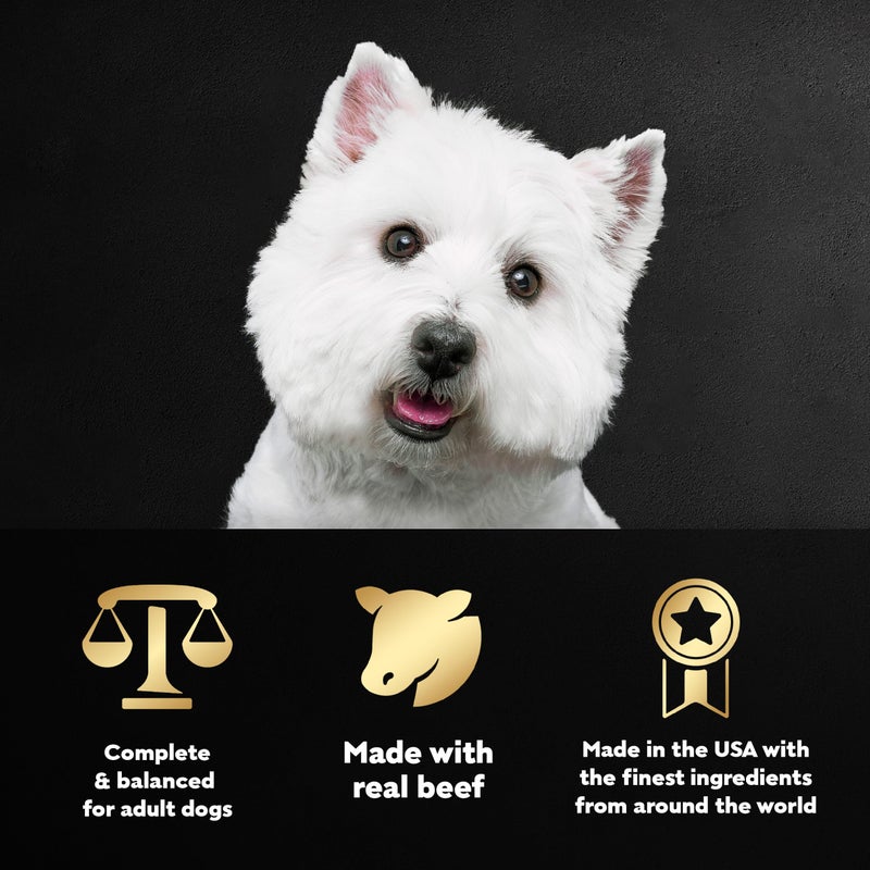 Cesar Filets in Gravy Adult Wet Dog Food, Filet Mignon and New York Strip Flavors Variety Pack, 3.5 oz. (12 Count, Pack of 1) - Image 4