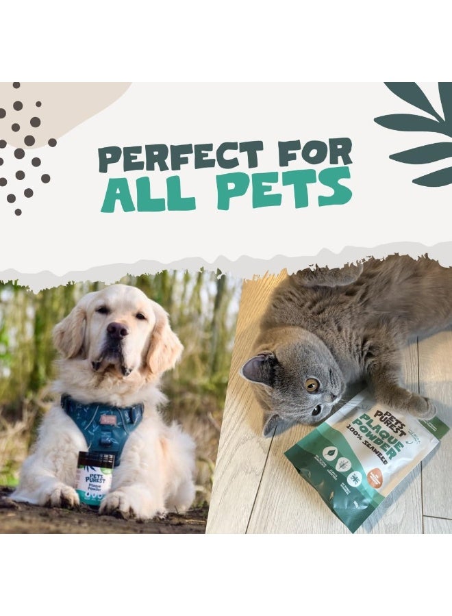 Pets Purest Plaque Off Powder - 100g Pro Tartar Remover for Dogs, Cats & Pets. 100% Natural Bad Breath, Teeth & Gum Oral Health Hygiene Dental Care Formula - Image 5