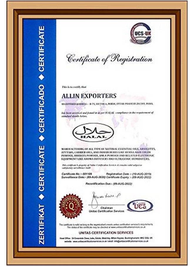Allin Exporters - Cajeput Oil 100% Pure Natural & Undiluted 30 Ml - Image 1
