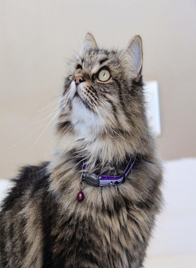 Rogz Reflective Cat Collar with Breakaway Clip and Removable Bell, fully adjustable to fit most breeds, Purple Bird Design - Image 3