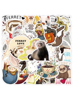 Ferret
