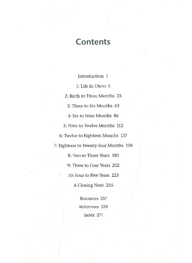 Beginnings  - Image 3