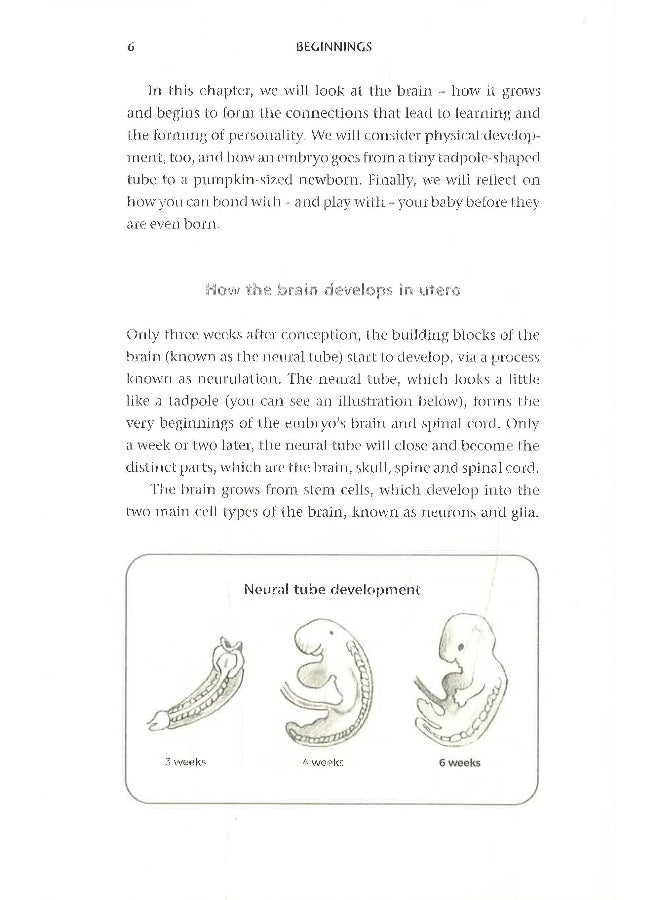 Beginnings  - Image 5