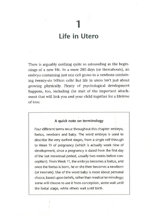 Beginnings  - Image 4